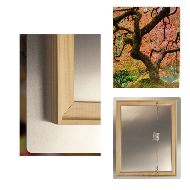 Érable japonais en automne — Portrait en métal, H 14 po x l 11 po