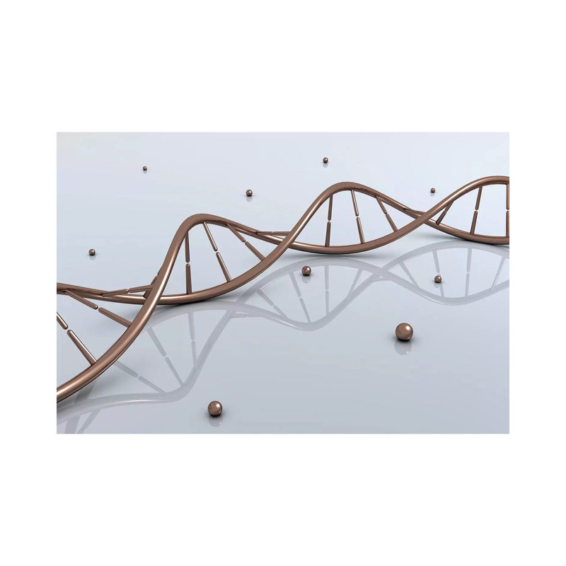 «Conceptual Image of ADN X» par Stocktrek Images - impression sur toile tendue, H 18 po x l 26 po x P 1,5 po