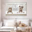 Bain de luxe pour animaux-1586666232