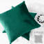 Square Luxury Velvet plush Cushion cover sofa throws Pack of 2-603115842