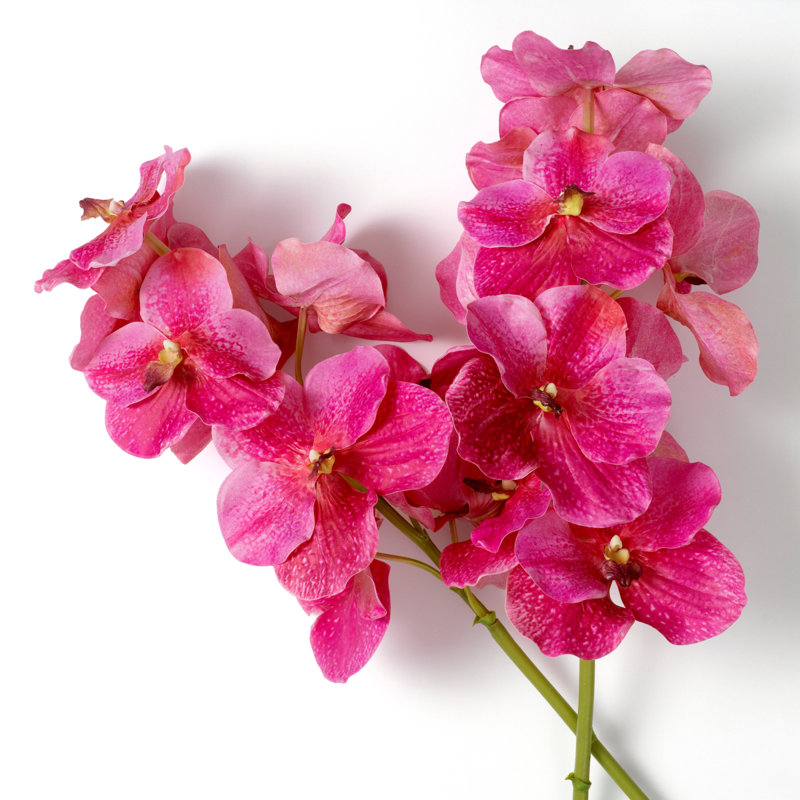 Bouquet of Vanda Orchids Real Touch 24 Pcs, Pink