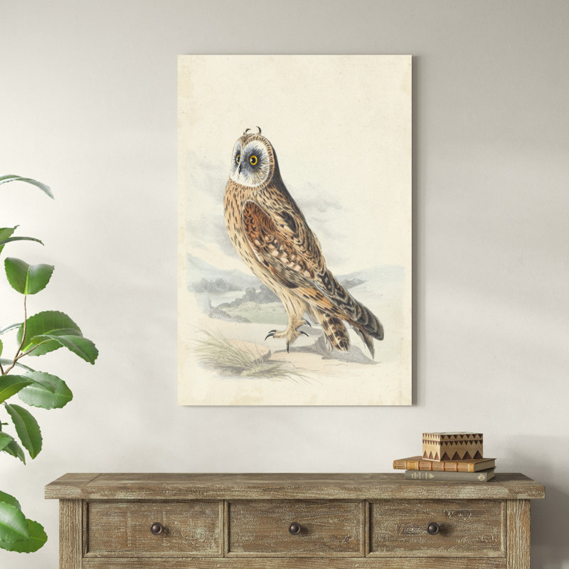 Hibou Meyer, H 48 po x l 32 po x P 1,25 po