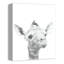 Art sur toile baby giraffe Becerra-1820252534