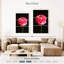 Renoncule rose moelleux Harnek-108545141