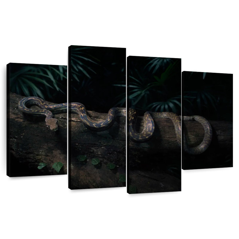Brampt Australian Scrub Python, 54" H x 84" W