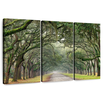 Harnek Lane Of Oaks