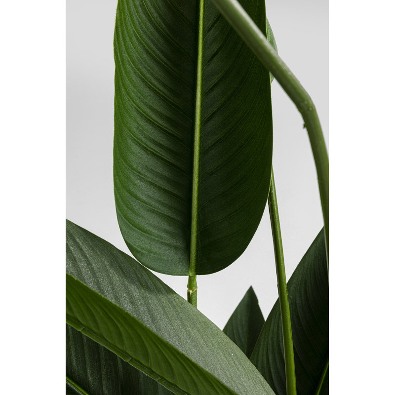 190Cm Artificial Bird of Paradise Plant in Pot