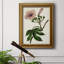 Mauve Botanicals I - impression-517422340