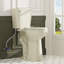 Toilette allongée pour salle de bain Traditional-109920207