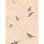 Fall of Warblers