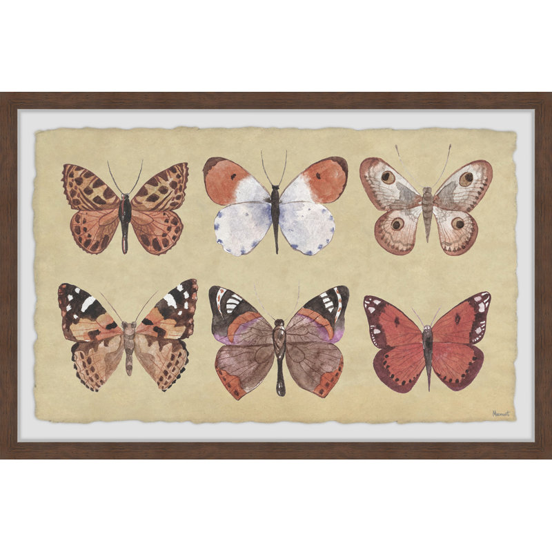 Complex Pattern - Single Picture Frame Print, 20cm H x 30cm W x 3.81cm D