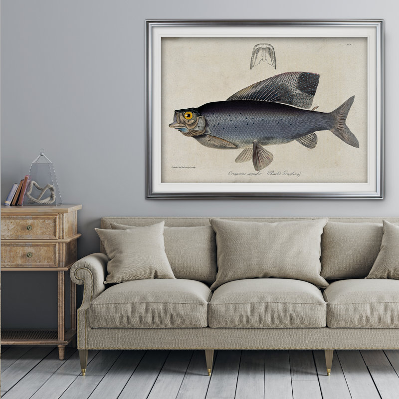 « rétro fish study i », impression, H 28 po x l 38 po x P 1,5 po, Cadre argenté