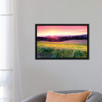 " Vineyard Sunrise " by Dennis Frates