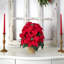 Arrangement floral dans un vase