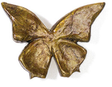 Bronze Novelty Knob, Stainless