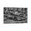 In The Rough by David Gardiner - Wrapped Canvas Gallery-Wrapped Canvas Giclée-476742963-512157359