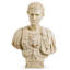 Bust of Julius Caesar Marble Antique Look