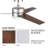 Ayvar 52'' Ceiling Fan with LED Lights-298239837