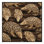 Washable Pangolin Wildlife Area Rug