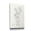 «Botanical Study in Sage II», reproduction d'art sur toile tendue-370701329