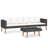 2 Piece Lounge Chair with Cushions-449018889-449018902