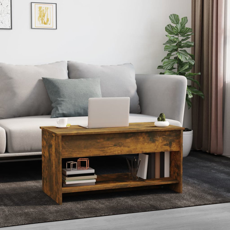 Jarosłav Frame Coffee Table with Storage, Brown/Black