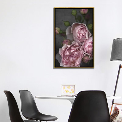 " Pink Peony " by Juliana Loomer Painting Print