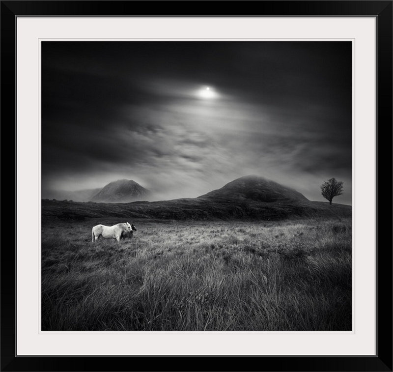 «Straub Strange Place to Be» par Martin Marcisovsky - reproduction de photo, Cadre noir, H 28 x l 28 po x P 1 po