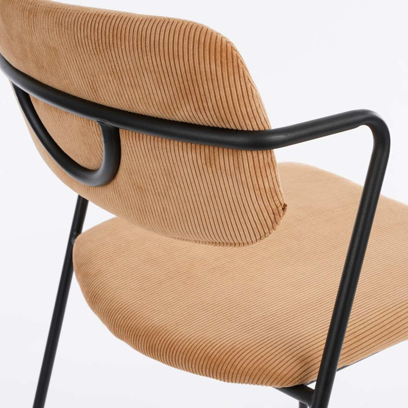 Rumson 40cm H Velvet Upholstered Side Chair, Brown