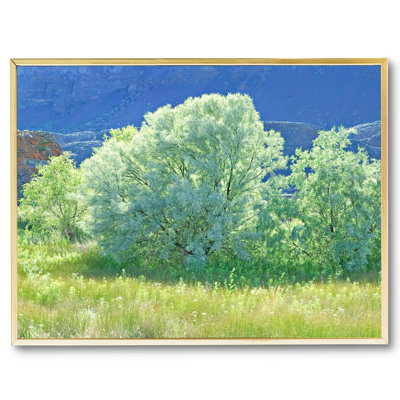 Spring Russian Olive Tree Design Print by Bruce Heinemann