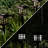 Solar Matte Black Solar Powered Integrated LED Pathway Light Pack