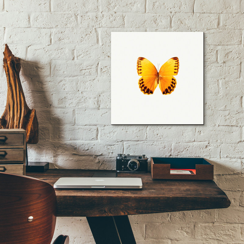 «Yellow Butterfly 2» par Photoinc Studio, art mural en verre acrylique, H 12 po x l 12 po x P 0,13 po