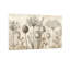 Plantes et fleurs, croquis botaniques en sépia-1858758522