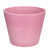 Rose est en rupture de stock