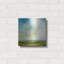 "Rolling Hills" par Suzanne Nicoll, "Rolling Hills" par Suzanne Nicoll-101656342