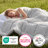 Bedsure Queen Box-Stitch Down Alternative Duvet Insert – Light Gray , All-Season Comforter-101518294-101820269