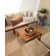 Kaylah Performance Geometric Indoor/Outdoor Area Rug