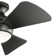 Sola 34'' Ceiling Fan with LED Lights