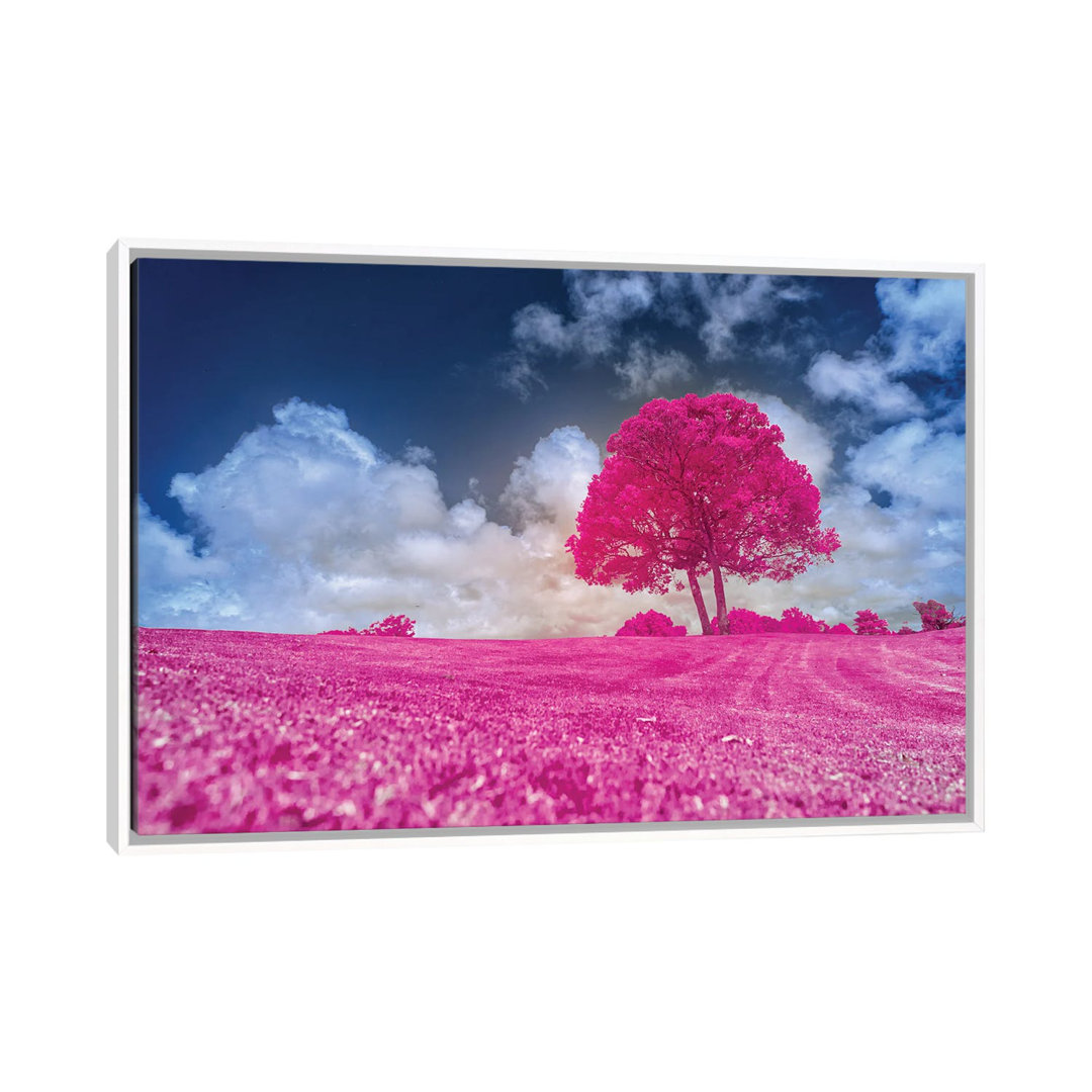 Pink Tree by Glauco Meneghelli - Floater Frame Print on Canvas