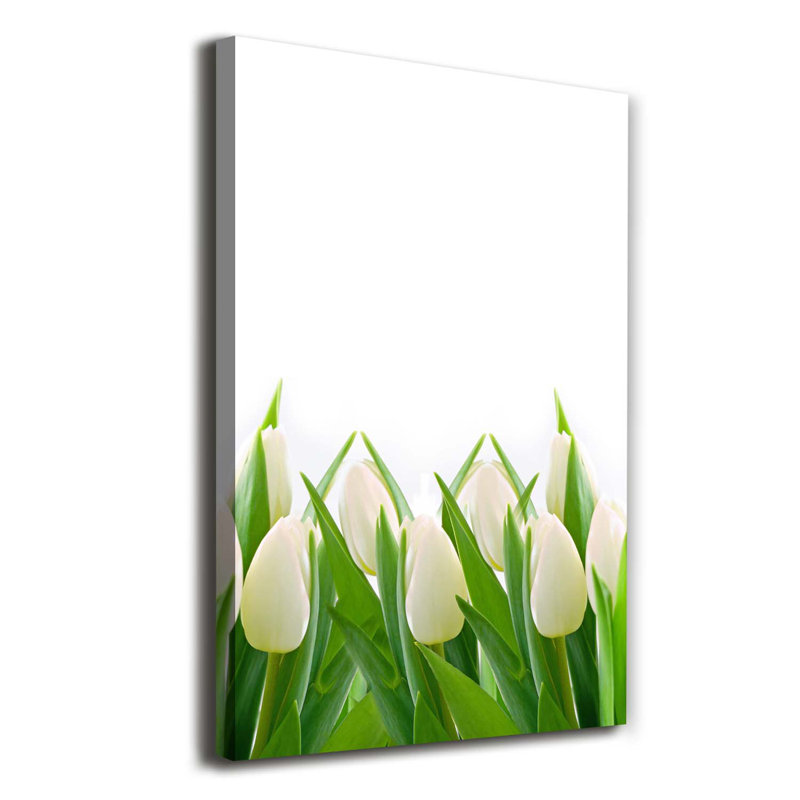 White Tulips - Wrapped Canvas Print