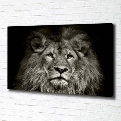 Lion - Wrapped Canvas Print