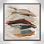 Spring Shadows by Susan Jill-59825369-59825370