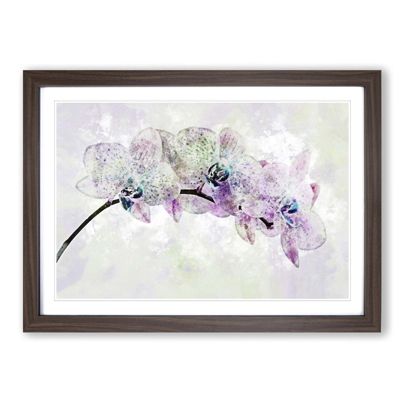 Colourful Orchids in Abstract - Picture Frame Graphic Art Print on MDF, Walnut Framed, 36cm H x 48cm W x 2cm D