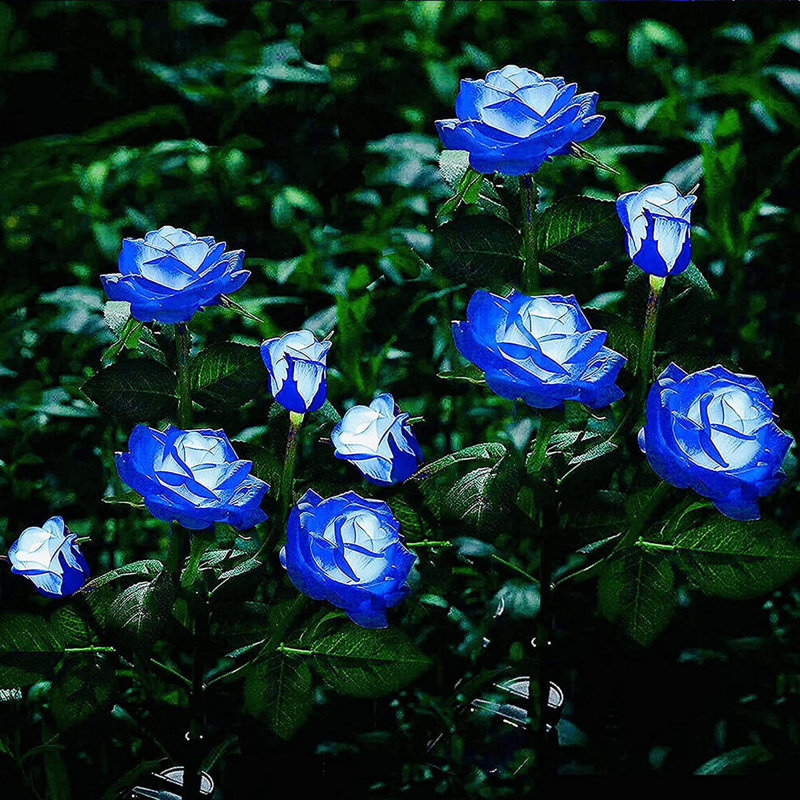 Blue Solar Powered LED Rose Pathway Lights