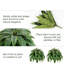 Ensemble de 2 plantes en pot 45 po 
