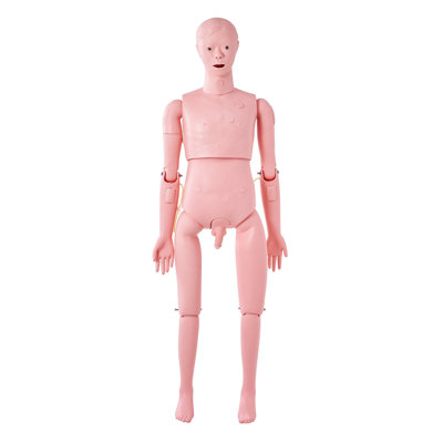 Mannequin de formation en soins infirmiers, mannequin humain de démonstration grandeur nature pour la formation en soins infirmiers, fournitures de modèle pédagogique multifonctionnel, modèle de simulateur de soins du corps en PVC