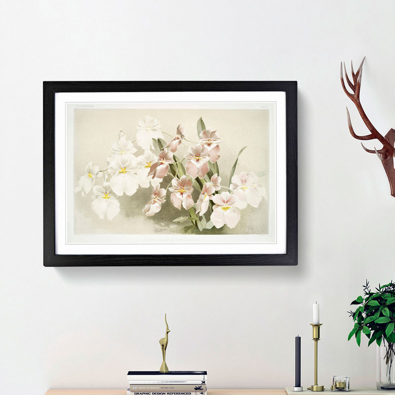 Magnolia Flowers Illustration Tab. 29 by Frederick Sander - Picture Frame Painting Print, Black Framed