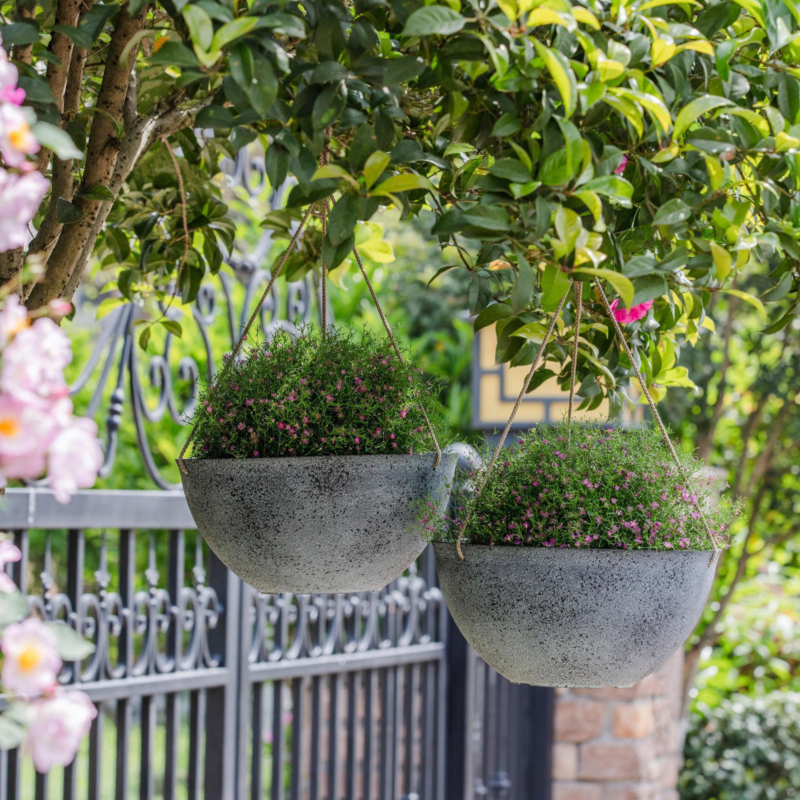 Boxdale Hanging Planter - Set of 2, Rock Gray, 6.3" H x 13.2" W x 13.2" D