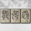 Ensemble de 3 pièces encadrées sur toile embellies Antique Foliage I-97794874-97794867