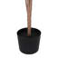 Lilas en pot - moyen-1640272750